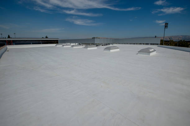 Best Steel Roofing  in Aztec, NM